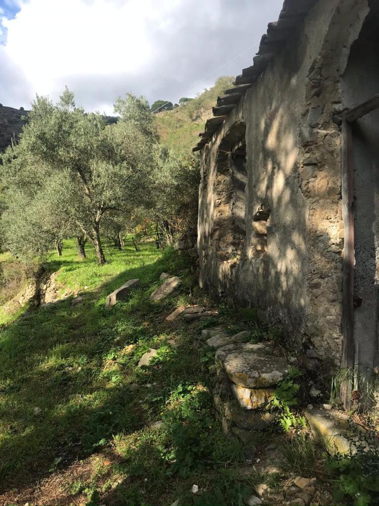 La Pergola Dei Paggi Villa Sestri Levante Exterior foto